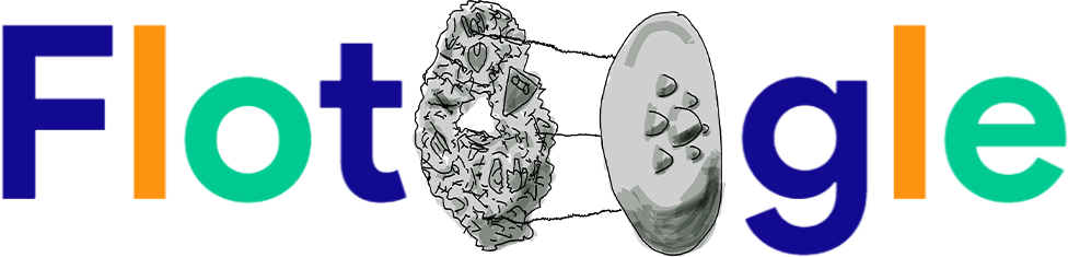 Flotoogle logo